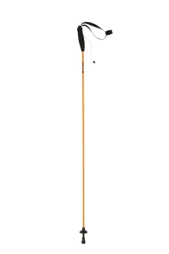Ferrino STICK EIGER CM.115 (PAIR) oro- Bâtons | Trail Running